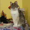 Отзыв от Серафима Селезнева
